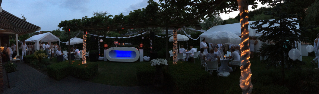 dj drive in show tuin